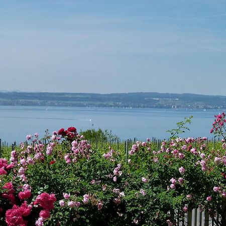 Abc Ferienwohnungen Abc Wohnung A Meersburg Dış mekan fotoğraf