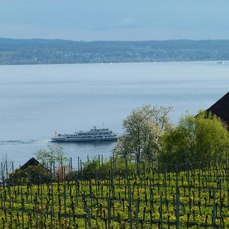 Abc Ferienwohnungen Abc Wohnung A Meersburg Dış mekan fotoğraf