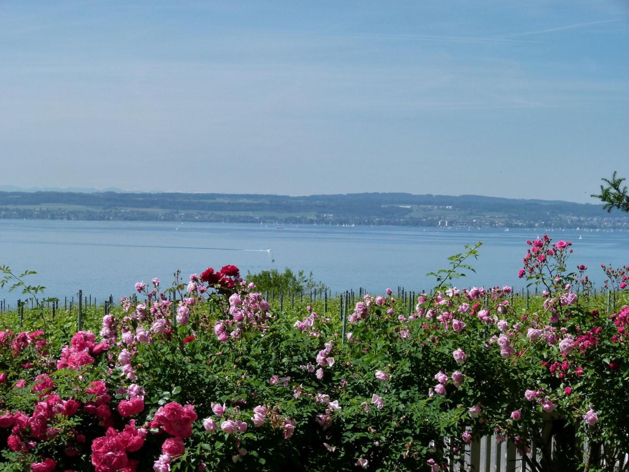 Abc Ferienwohnungen Abc Wohnung A Meersburg Dış mekan fotoğraf