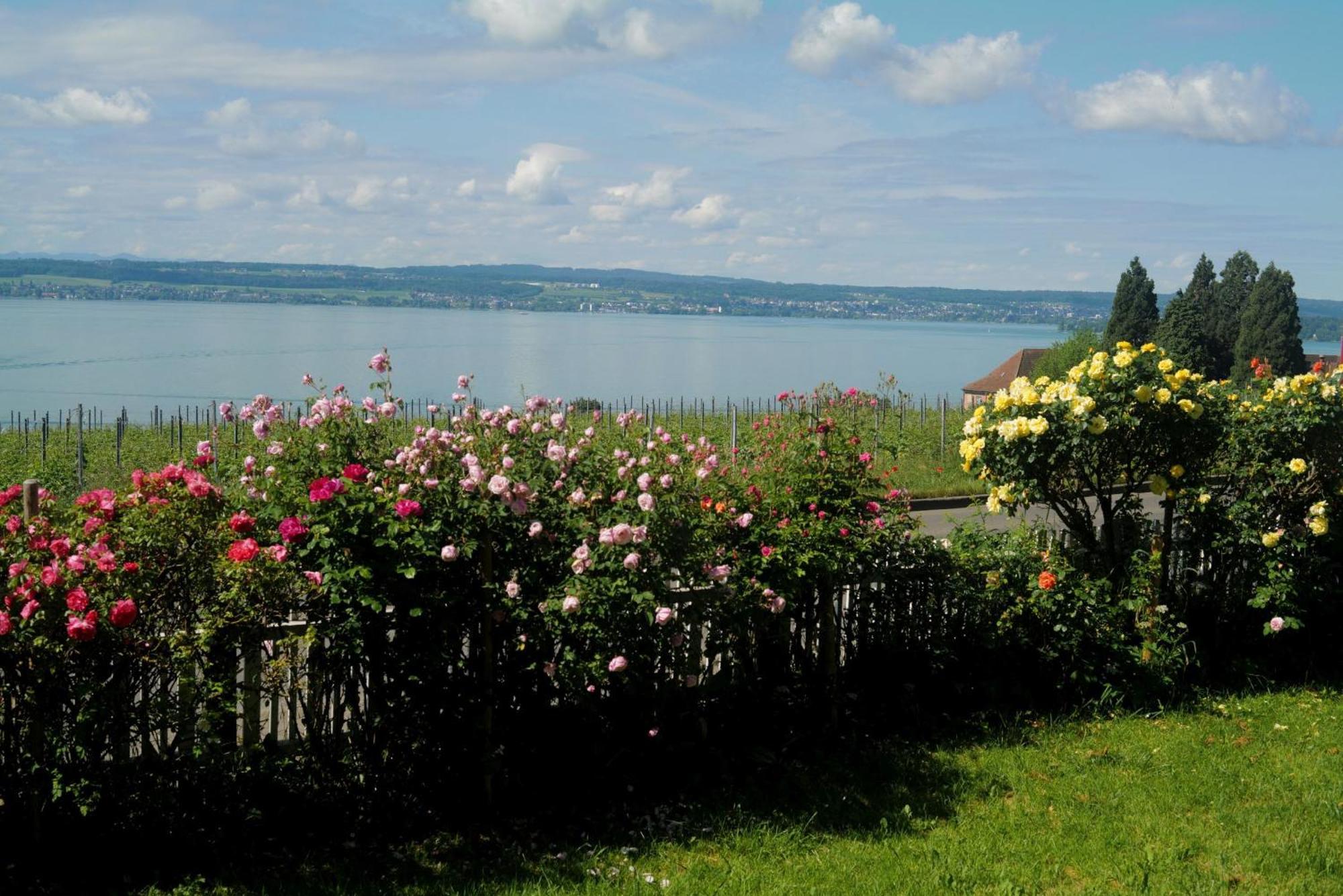 Abc Ferienwohnungen Abc Wohnung A Meersburg Dış mekan fotoğraf